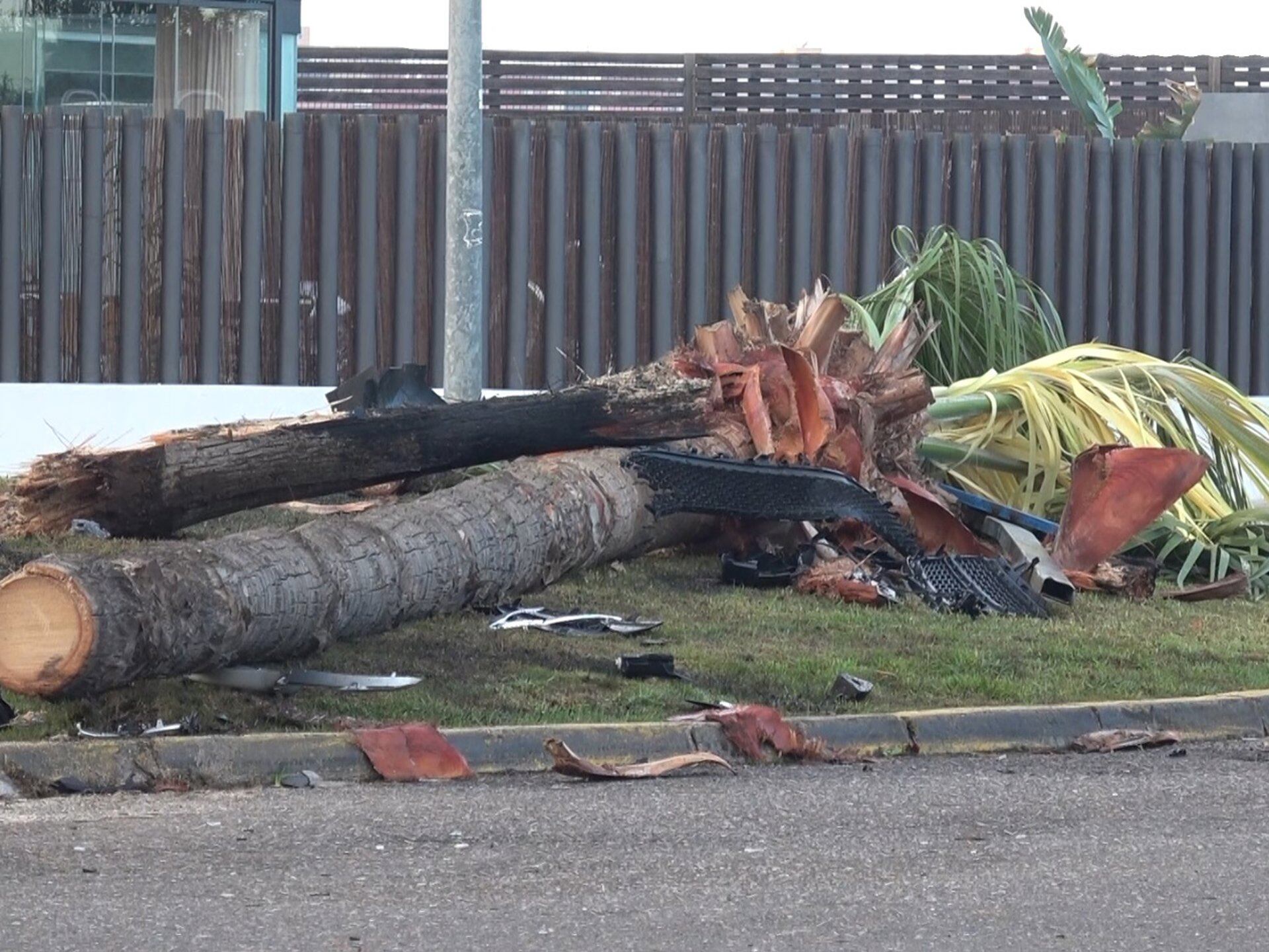 Así ha quedado el lugar del accidente de Cayetano Rivera: restos y palmeras derribadas tras dar positivo en alcoholemia
