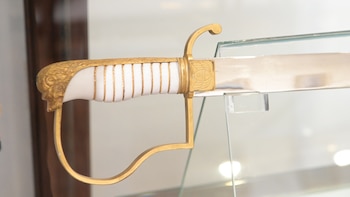 La empuñadura del sable browniano,