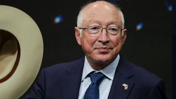 Las organizaciones criminales tienden a