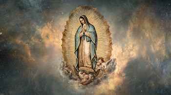 El 12 de diciembre millones