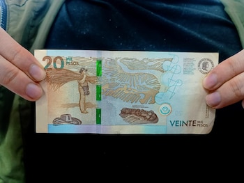 El conocimiento ancestral sobre el