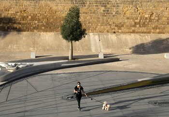 En este estudio la fuerza