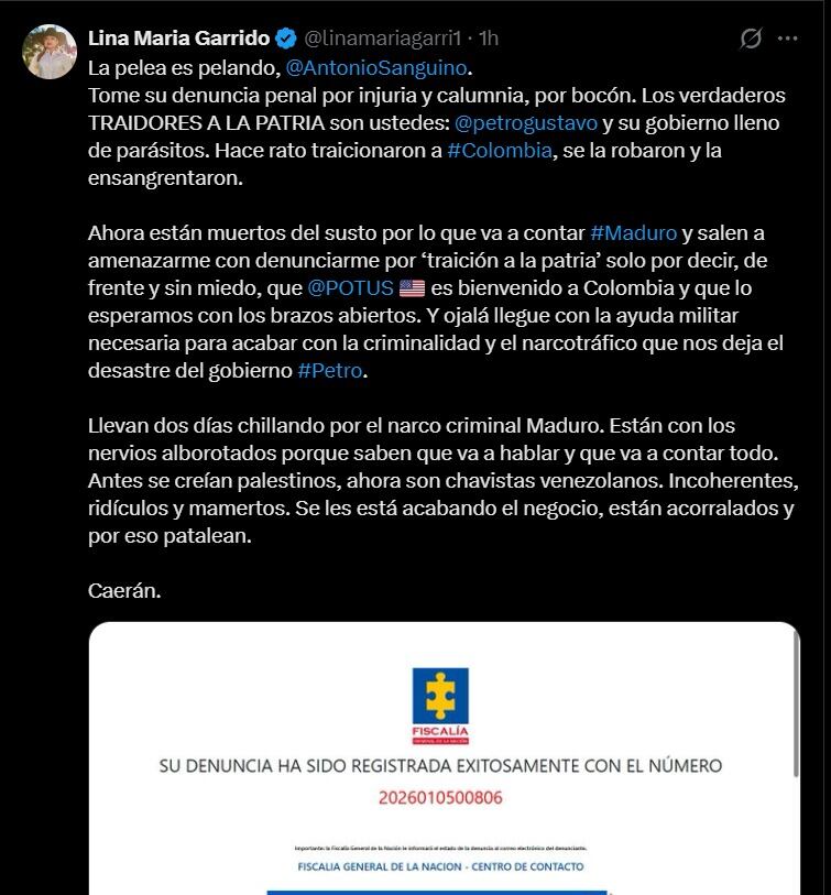 Garrido rechaza los señalamientos y culpa al gobierno de Gustavo Petro de traicionar a la patria y dejar al país en crisis - crédito @linamariagarri1 / X