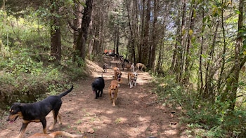 Uno de los caminos hacia