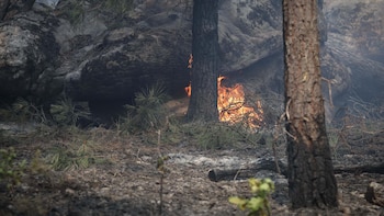 Los incendios en Gironda empeoran y se anuncian evacuaciones masivas