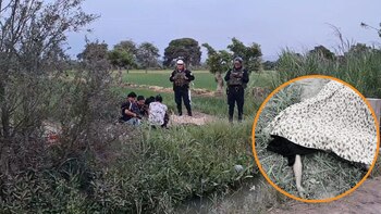 Dos primos hermanos de 11