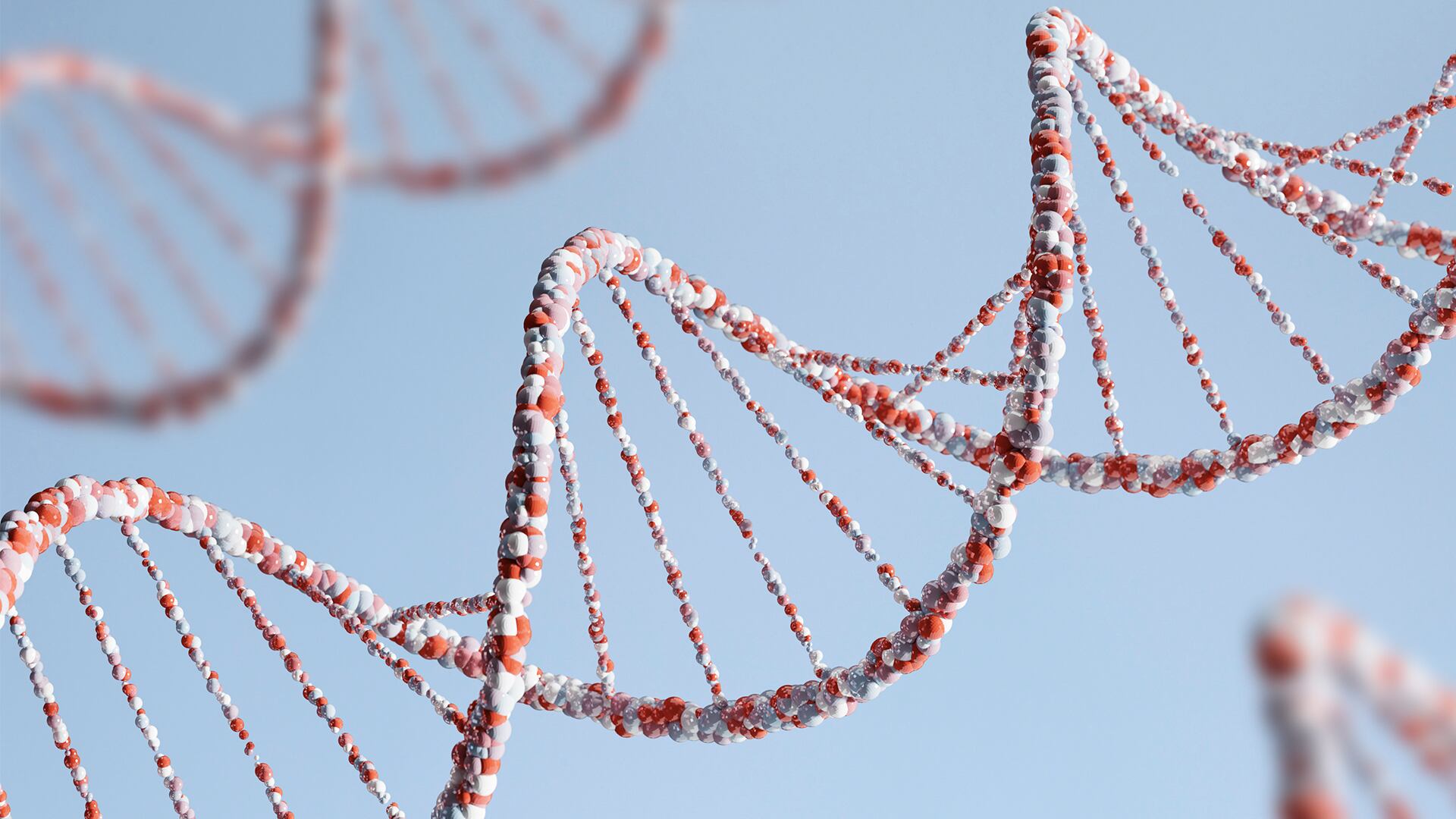 En el estudio, los 15 participantes tratados con edición genética para reducir lípidos no presentaron efectos adversos graves relacionados con la terapia, aunque los especialistas recomiendan cautela debido al tamaño reducido de la muestra