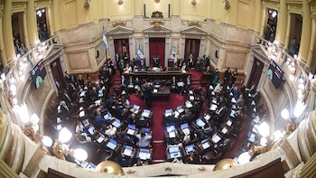 El Senado aprobó cambios en la ley de salud mental: se modifican criterios de internaciones y equipos médicos