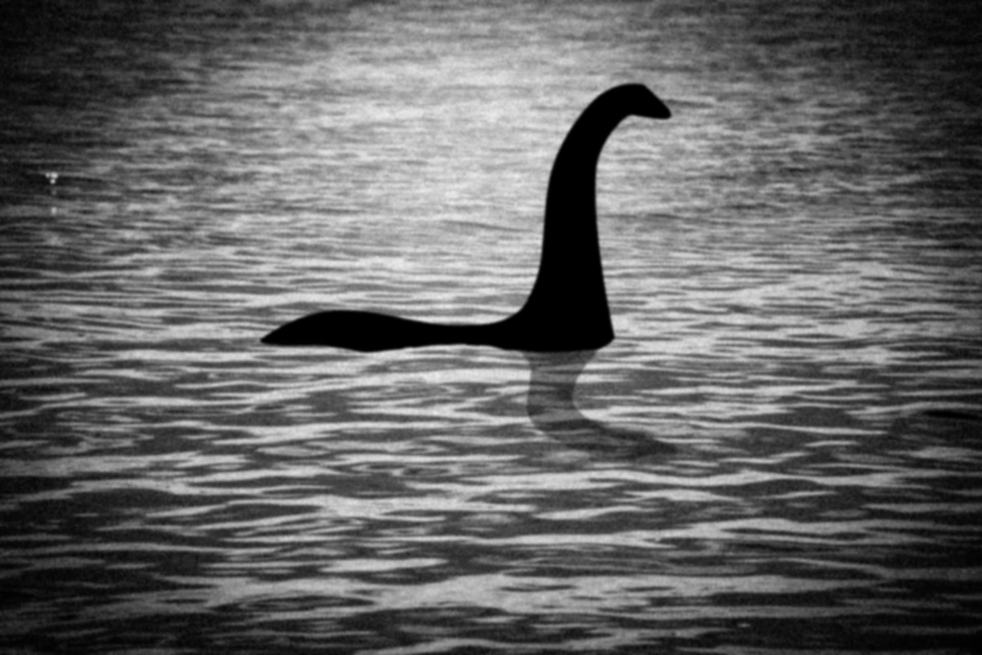 La foto más conocida del legendario monstruo