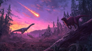 La ciencia reveló que tiburones