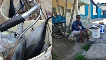 Food Monitor Program, pesca, Cuba