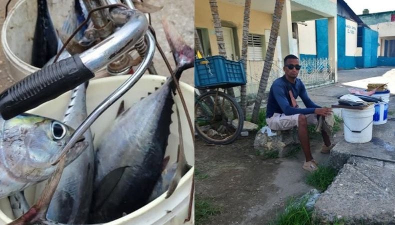 La FAO estima que una porción de 150 gramos de pescado cubre entre el 50% y el 60% de la proteína diaria de un adulto. (Cortesía: Food Monitor Program)