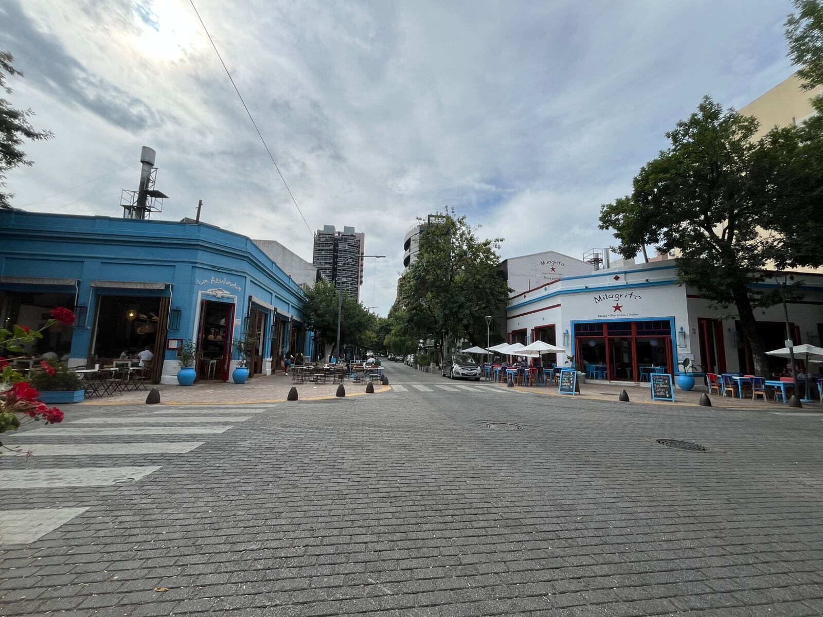 Operativo en Buenos Aires tras denuncias de envenenamiento de perros en Las Cañitas y Palermo