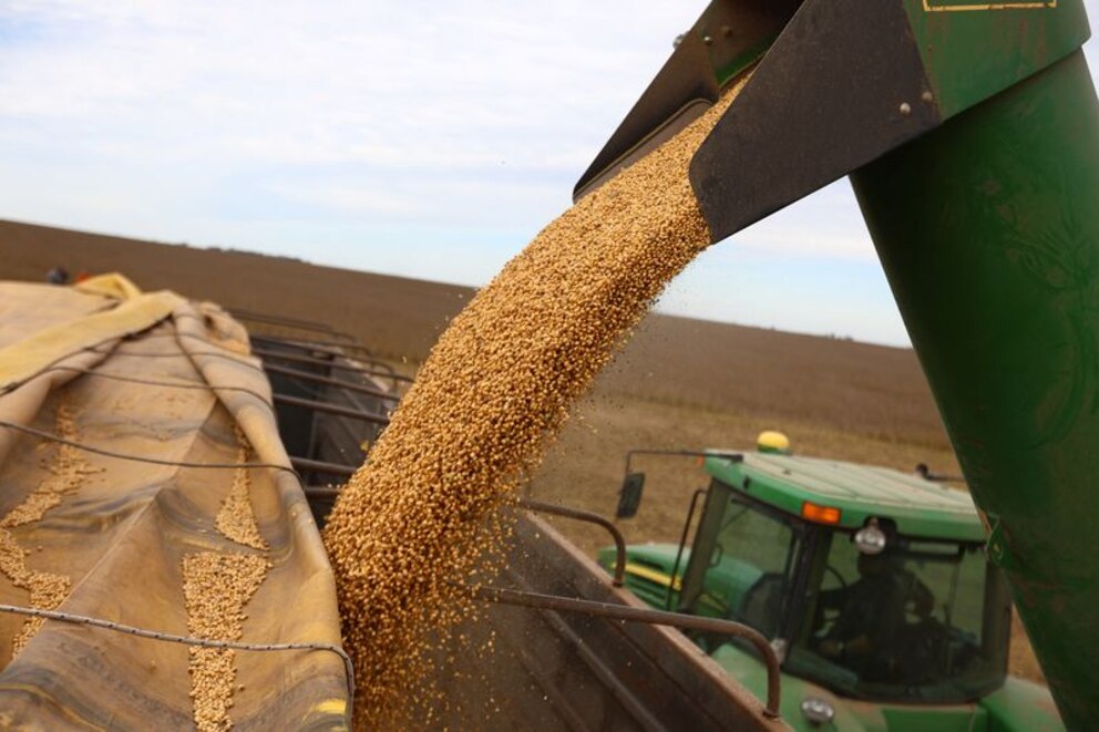 Vuelven las retenciones: cuánto poder de compra perderán los productores de soja y maíz