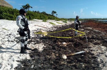 Encontraron un paquete de cocaína