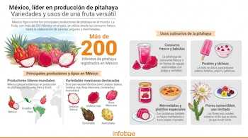 Infografía con pitahayas enteras y cortadas, mapa de productores mundiales y variedades. Se observan usos culinarios como bebidas, postres y mermeladas.