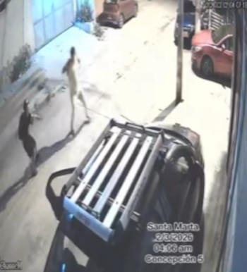 Cámaras de seguridad graban intento