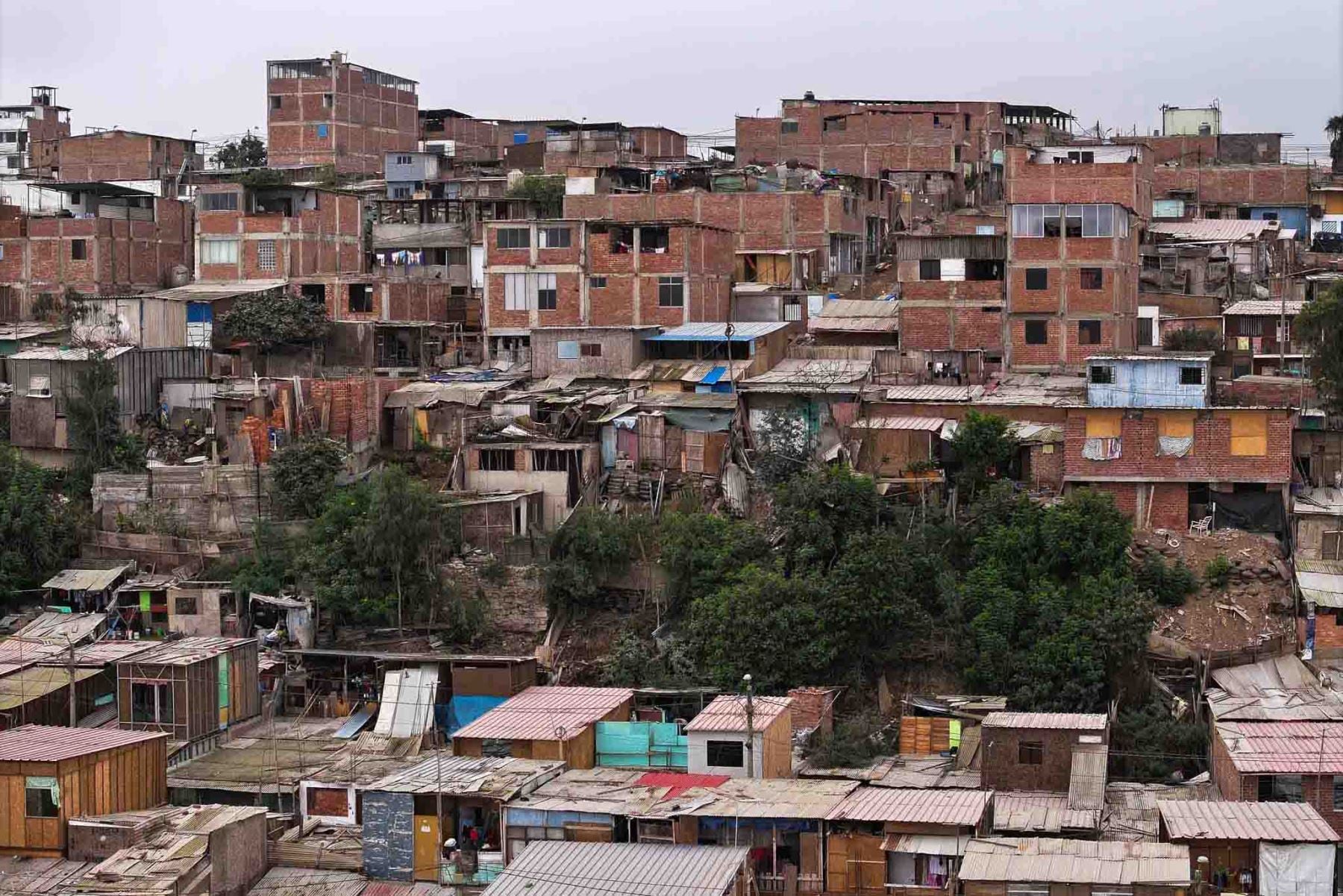 Terremoto en Perú: ¿Por qué Lomo de Corvina es la zona más vulnerable de Lima ante un sismo?