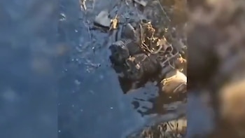 Ucrania acusó a Rusia de