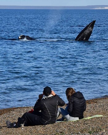 La Patagonia, y destinos como