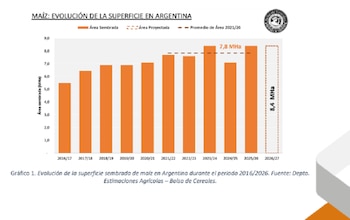 Maíz: evolución de la superficie sembrada en la Argentina