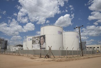 Luis Arce confía en que