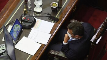 sesion de diputados por ganacias interior