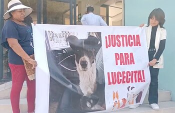 Ciudadanos exigen justicia para perrita