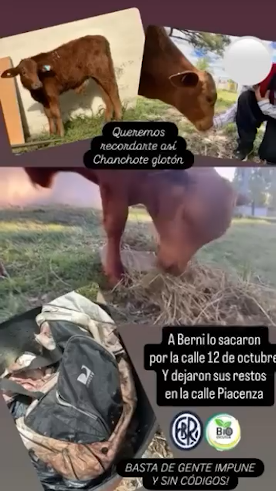 La policía detuvo a un sospechoso tras hallar restos de Berni y 50 kilos de carne en una vivienda de Hernando, Córdoba