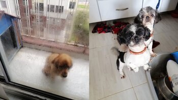 Vecinos del conjunto residencial Arboleda