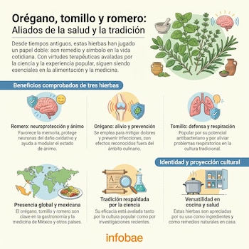 Infografía muestra ilustraciones de romero, orégano, tomillo, cerebro, pulmones, rodilla, mapa, utensilios de cocina y símbolos científicos con texto explicativo.