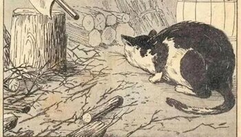 Imagen CGO6AOF5IJBKLEBSGM4E7G6M4A