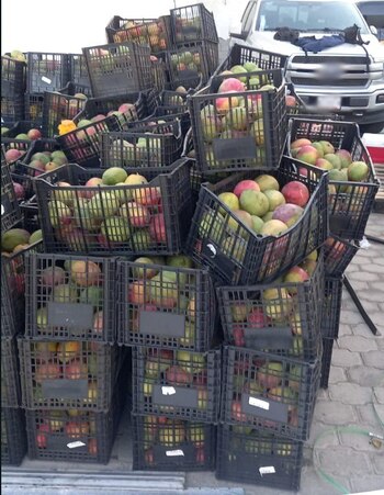 Parte de lo hallado en