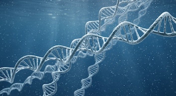 El análisis de restos genéticos