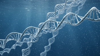 Cómo funciona la innovadora técnica