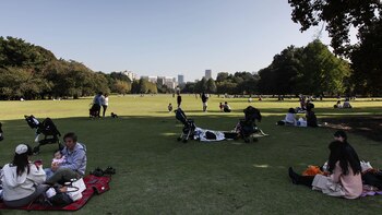 Es importante respetar los espacios