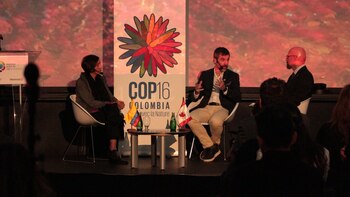 La embajadora comentó