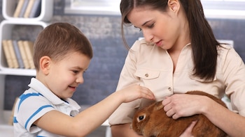 El verdadero significado detrás de que tu conejo te lama, no sólo lo hacen por afecto