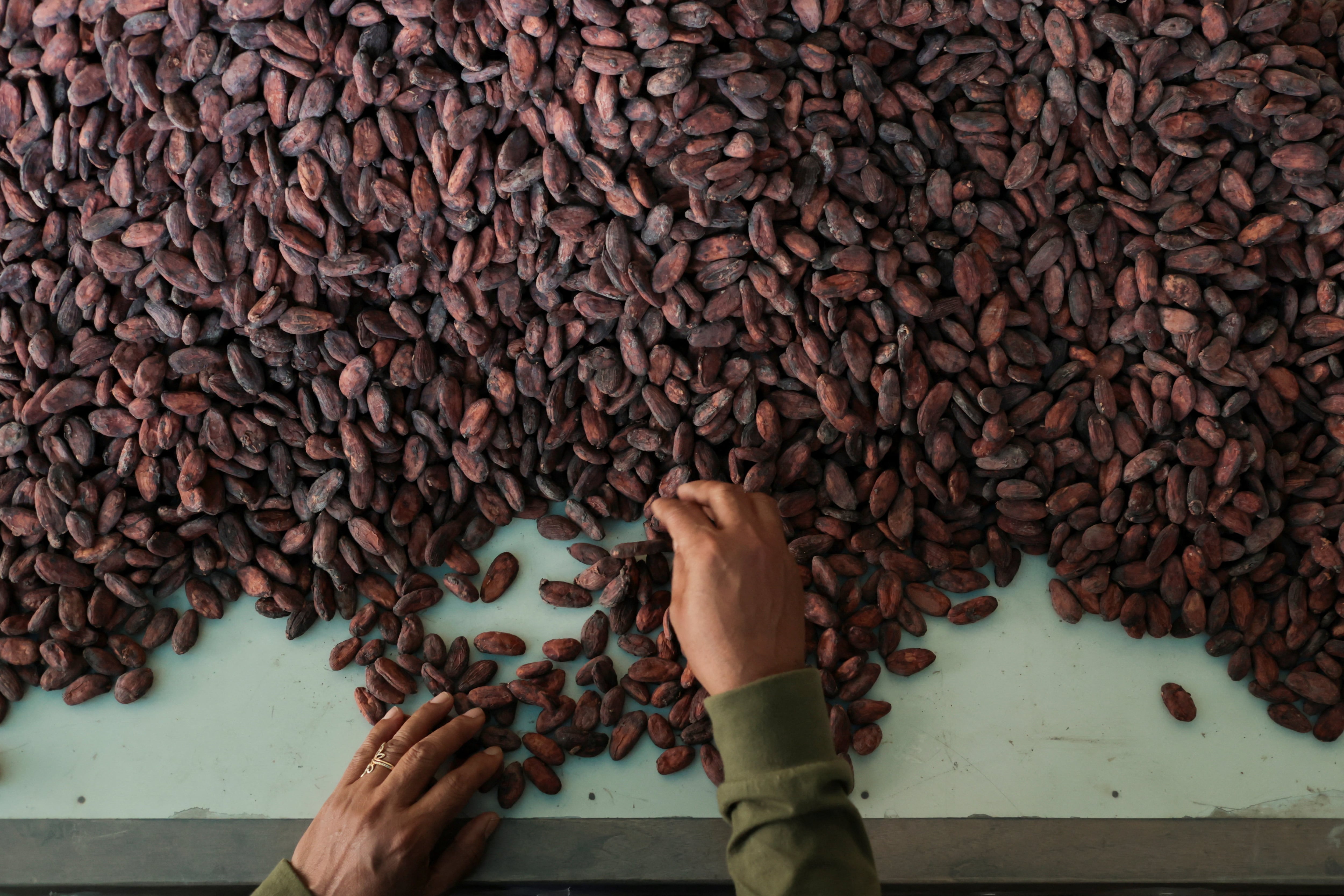 El Fenómeno El Niño golpeó la agroexportación de Perú en el primer semestre de 2026 y amenaza con dejar al sector por debajo del récord de USD 15.013 millones de 2025. REUTERS/Johannes Christo