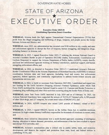 La demócrata anunció el lanzamiento