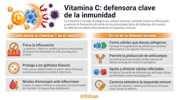 Infografía de la vitamina C y la inmunidad con texto, gráficos de moléculas, células, virus, inflamación, glóbulos, sangre, anticuerpos y reloj. Fuente: Infobae.