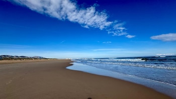 La Generalitat presenta sus alegaciones