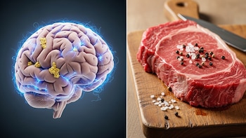 Cuando el cuerpo humano se ‘come a sí mismo’ y elimina las células enfermas y envejecidas