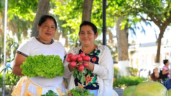 Los sistemas de agricultura protegida