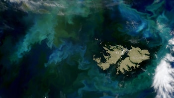 Reino Unido reivindica su soberanía sobre las Malvinas y defiende la autodeterminación de sus habitantes