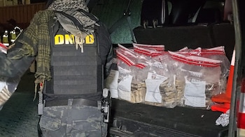 República Dominicana: Autoridades confiscaron 321 paquetes de presunta cocaína en el Puerto Caucedo
