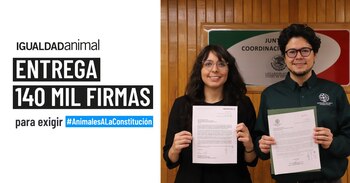Las firmas fueron recabadas por