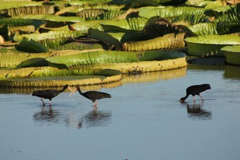 Ecoturismo en Jaaukanigás, Santa Fe