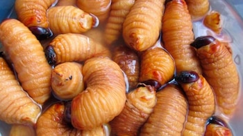 Puedes encontrar mojojoy principalmente en