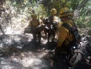 Más de 500 brigadistas, bomberos